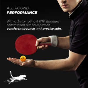 Peak Performance: Fitness and Training Exercises for Ping Pong Players